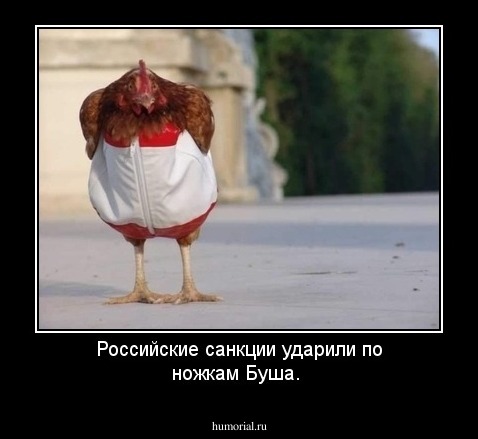 Российские санкции ударили по ножкам Буша.