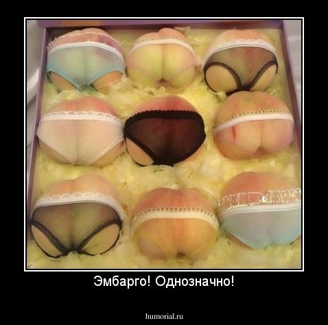 Эмбарго! Однозначно!