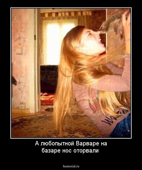 А любопытной Варваре на базаре нос оторвали