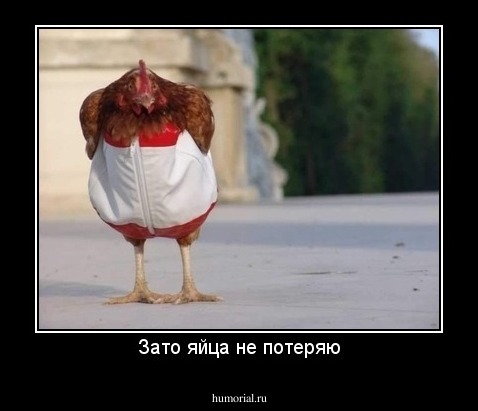 Зато яйца не потеряю