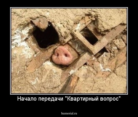 Начало передачи "Квартирный вопрос"