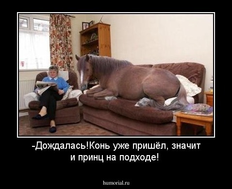 -Дождалась!Конь уже пришёл, значит и принц на подходе!