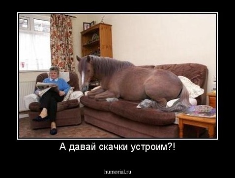 А давай скачки устроим?!