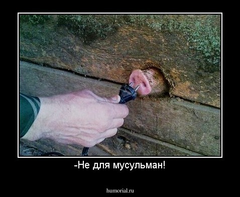 -Не для мусульман!