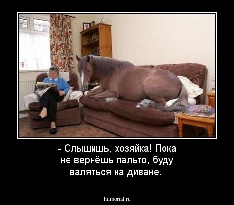 - Слышишь, хозяйка! Пока не вернёшь пальто, буду валяться на диване.