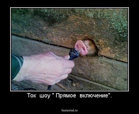 Ток  шоу " Прямое  включение".