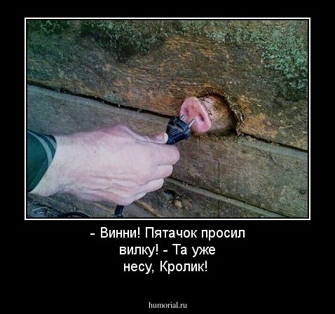 - Винни! Пятачок просил вилку!
- Та уже несу, Кролик!