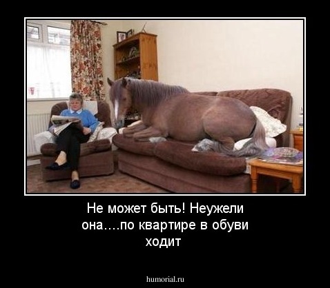 Не может быть! Неужели она....по квартире в обуви ходит 