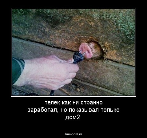 телек как ни странно заработал, но показывал только дом2