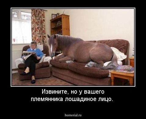 Извините, но у вашего племянника лошадиное лицо.