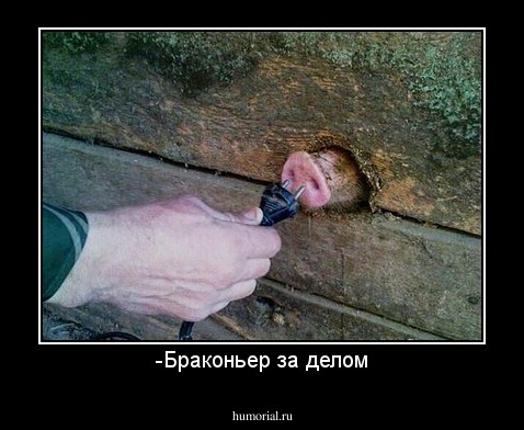 -Браконьер за делом