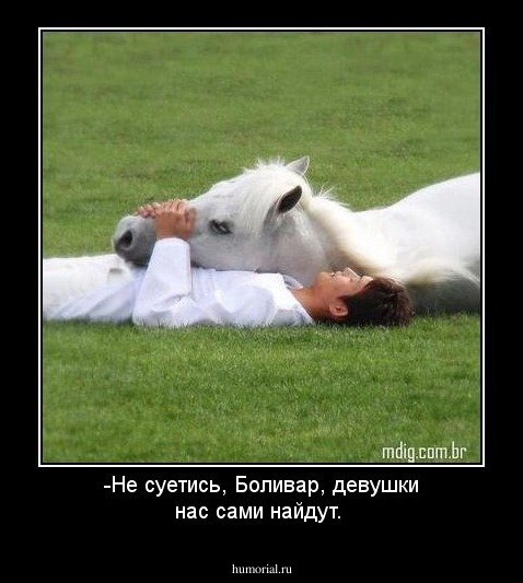 -Не суетись, Боливар, девушки нас сами найдут.