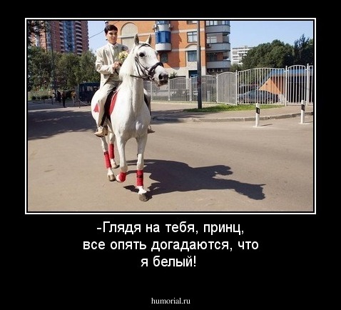 -Глядя на тебя, принц, все опять догадаются, что я белый!