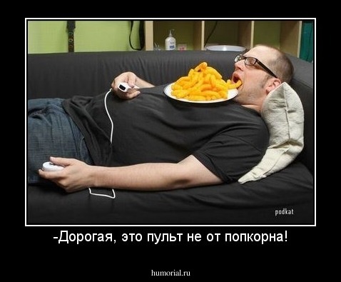 -Дорогая, это пульт не от попкорна!