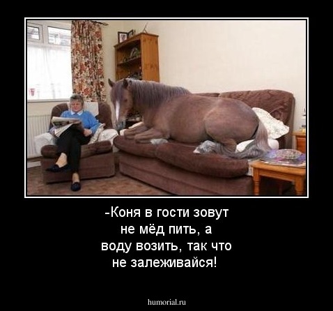 -Коня в гости зовут не мёд пить, а воду возить, так что не залеживайся!
