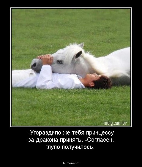 -Угораздило же тебя принцессу за  дракона принять. -Согласен, глупо получилось.