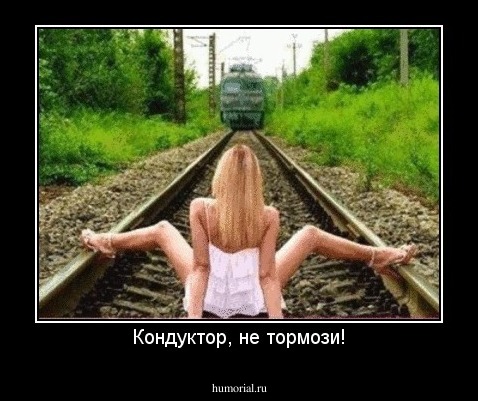 Кондуктор, не тормози!