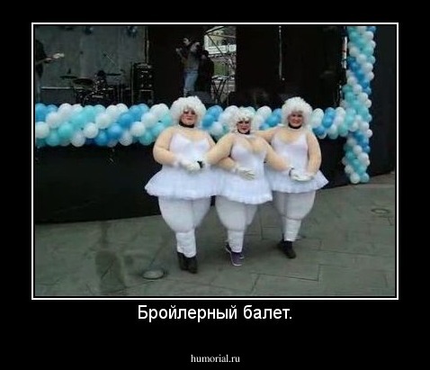 Бройлерный балет.
