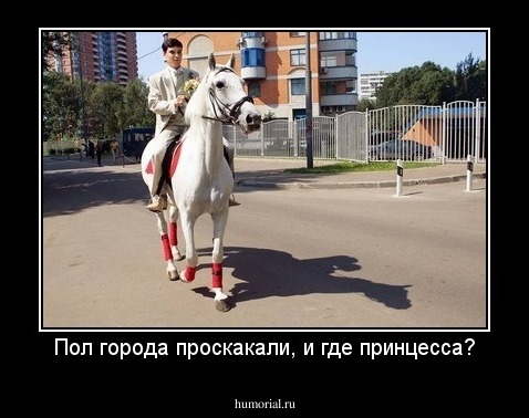Пол города проскакали, и где принцесса?