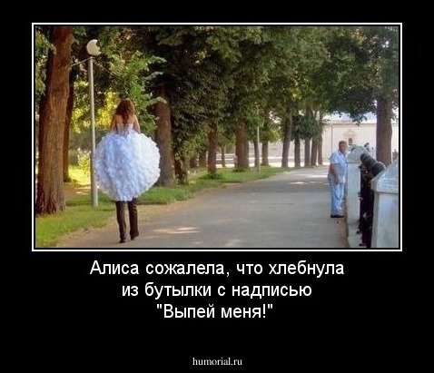 Алиса сожалела, что хлебнула из бутылки с надписью "Выпей меня!"