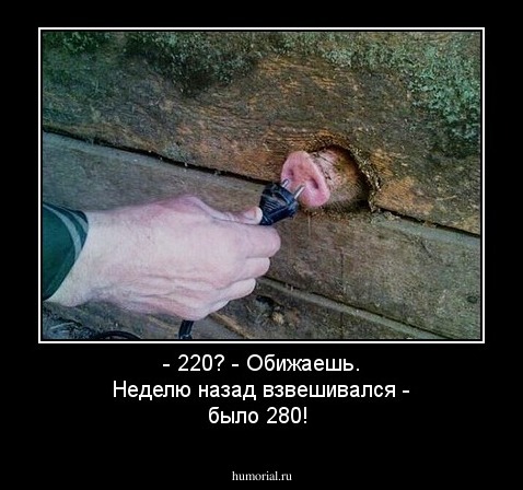 - 220? - Обижаешь. Неделю назад взвешивался - было 280!