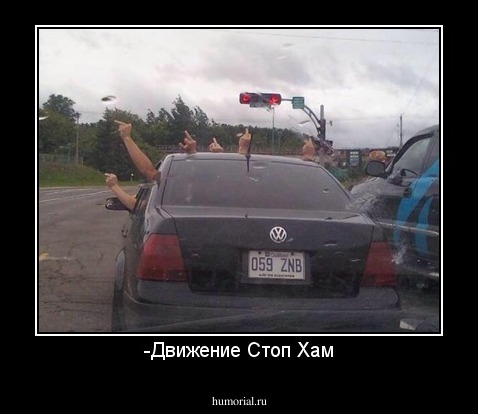 -Движение Стоп Хам