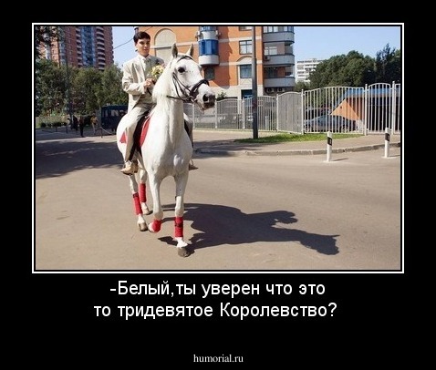-Белый,ты уверен что это то тридевятое Королевство?