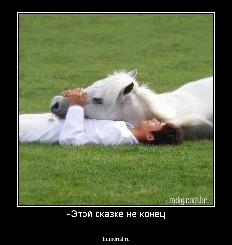 -Этой сказке не конец
