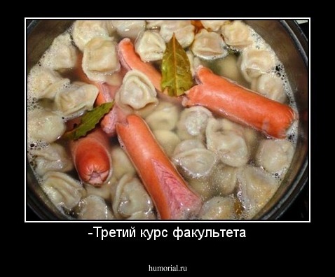 -Третий курс факультета
