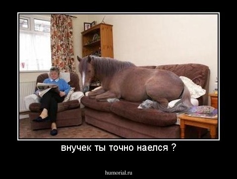 внучек ты точно наелся ?