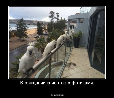 В ожидании клиентов с фотиками.