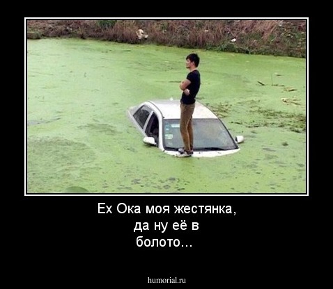 Ех Ока моя жестянка, да ну её в болото...