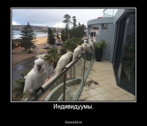 Индивидуумы.