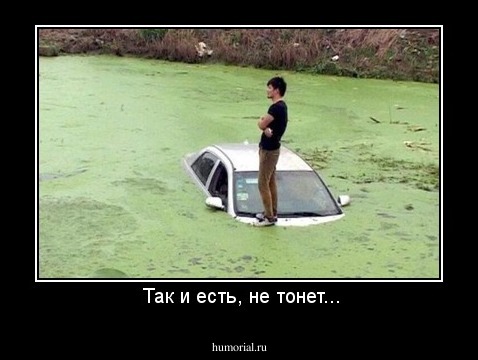  Так и есть, не тонет...