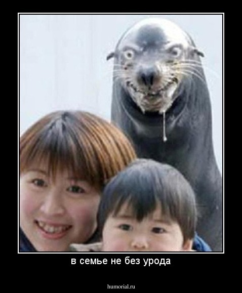 в семье не без урода