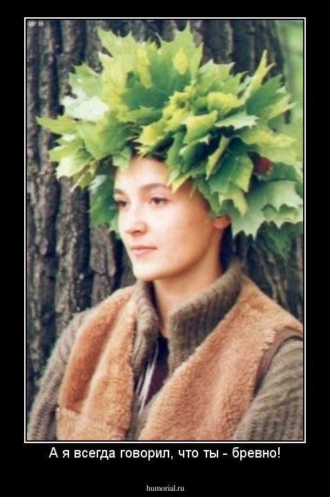 А я всегда говорил, что ты - бревно!
