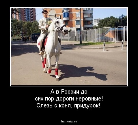А в России до сих пор дороги неровные! Слезь с коня, придурок!