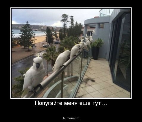 Попугайте меня еще тут....