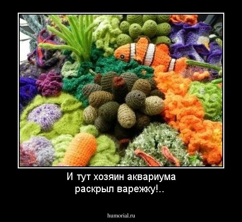 И тут хозяин аквариума раскрыл варежку!..
