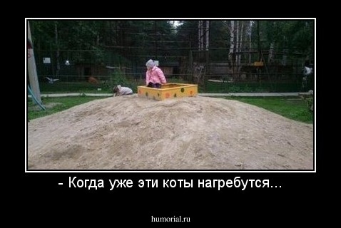 - Когда уже эти коты нагребутся...