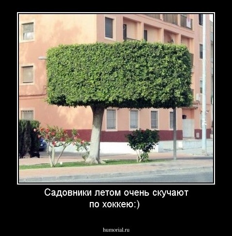 Садовники летом очень скучают по хоккею:)