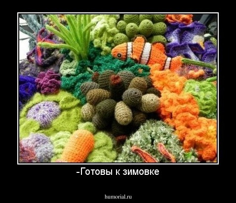 -Готовы к зимовке