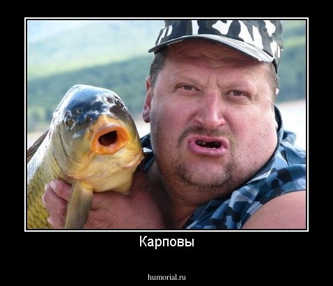 Карповы