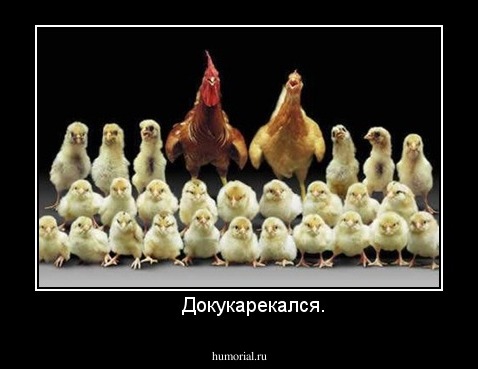      Докукарекался.