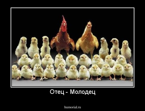 Отец - Молодец