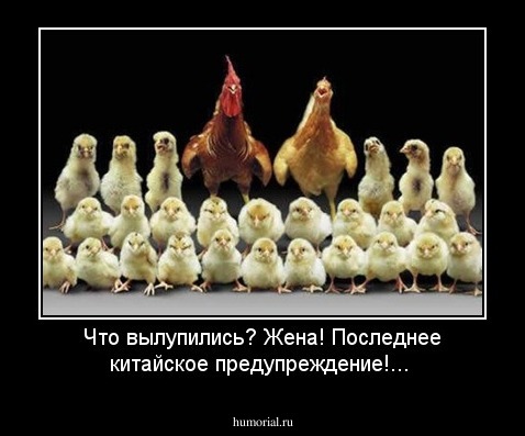 Что вылупились? Жена! Последнее китайское предупреждение!...