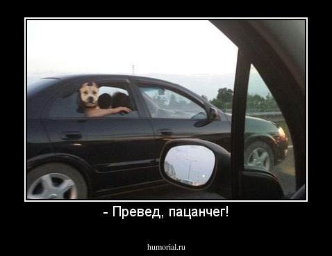 - Превед, пацанчег!