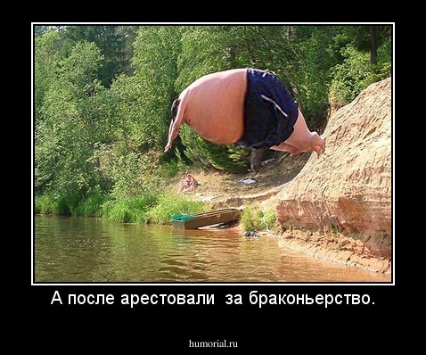 А после арестовали  за браконьерство.