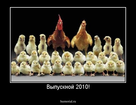 Выпускной 2010!