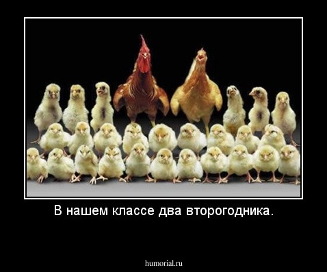 В нашем классе два второгодника.
